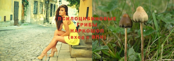 МДПВ Липки