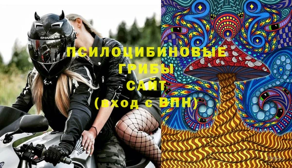 МДПВ Липки
