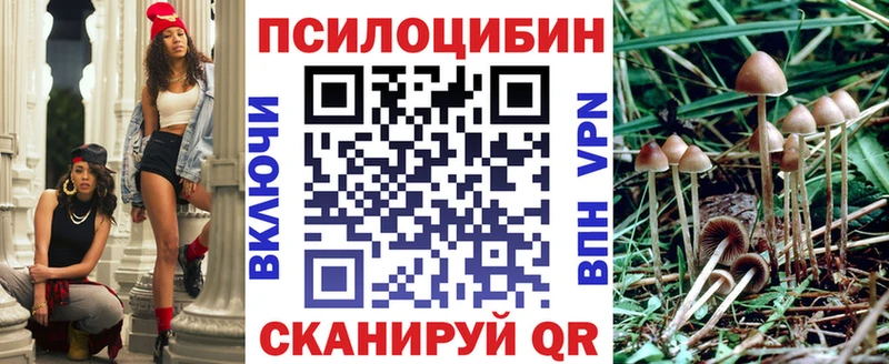 Галлюциногенные грибы Psilocybine cubensis  Сызрань 